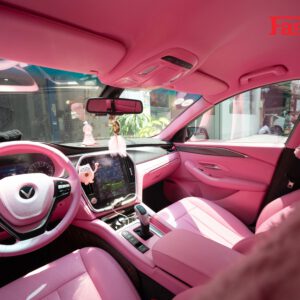 Độ nội thất màu hồng cho xe Vinfast Lux A, Lux SA